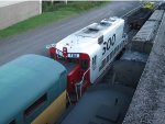 BN 565497 + SOO 700